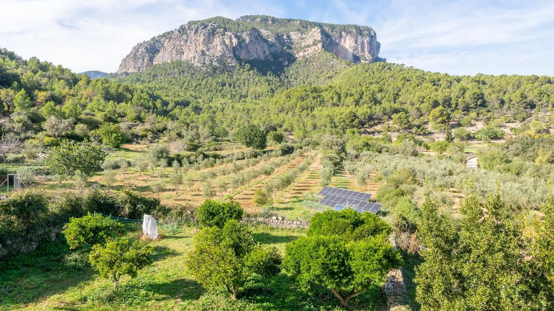 Agroturismo Filicumis By Mhr Lloseta 0*,  Spanje