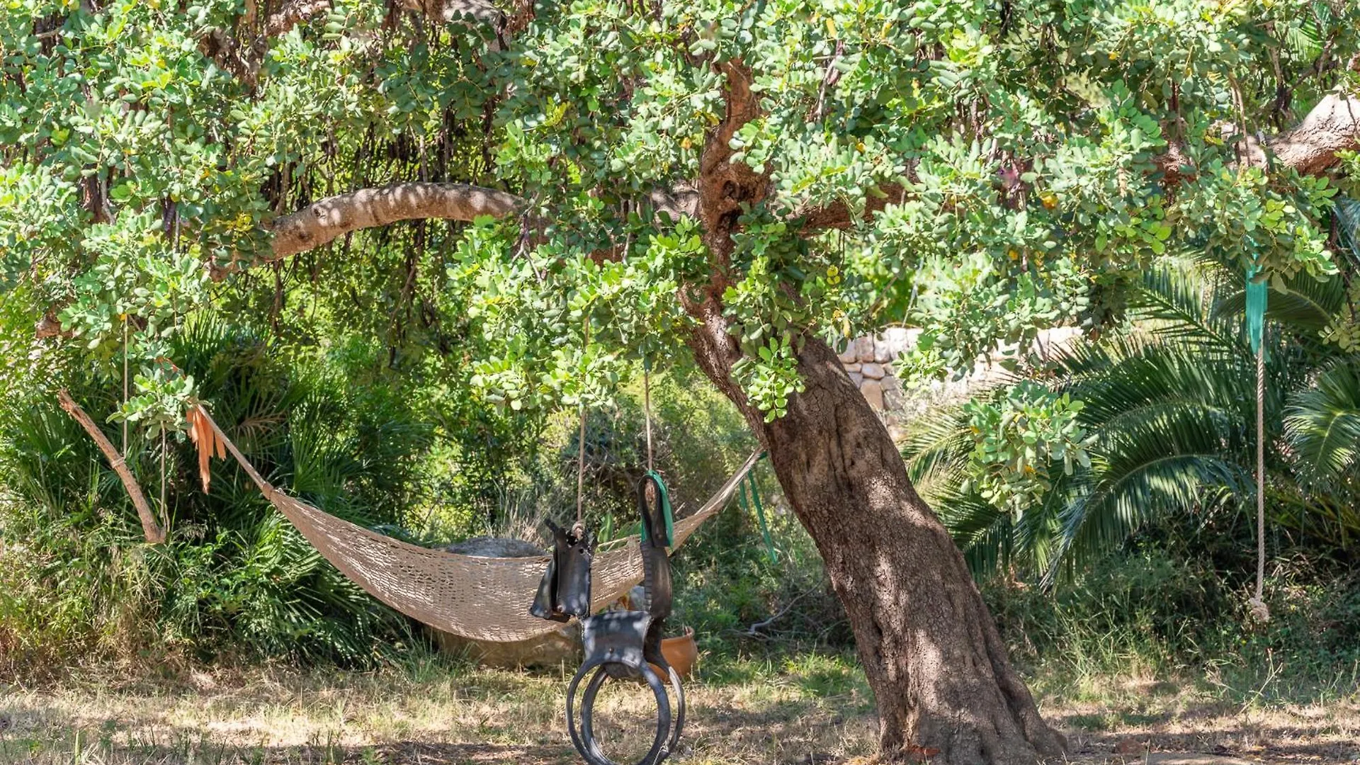 Farm stay Agroturismo Filicumis By Mhr Lloseta
