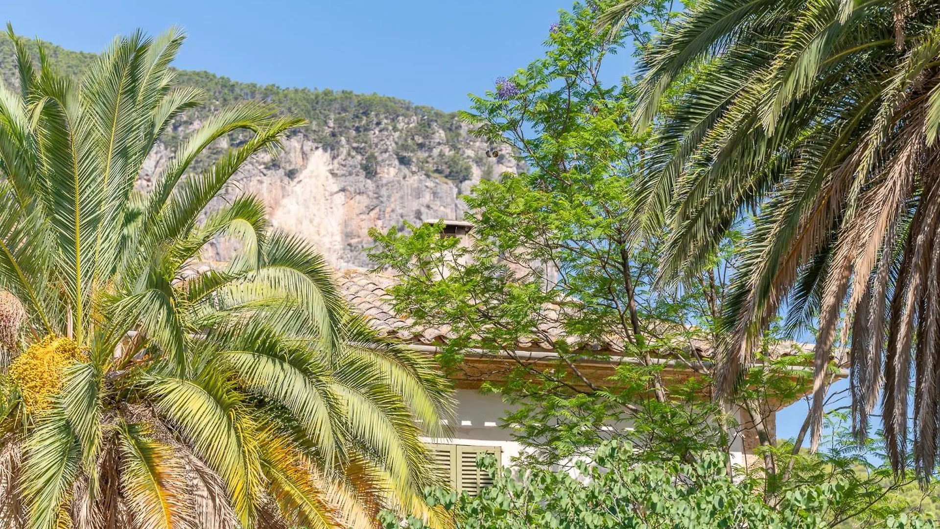 Farm stay Agroturismo Filicumis By Mhr Lloseta